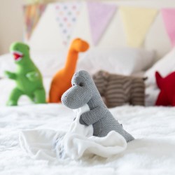 rsz_grey_diplo_and_dinos_on_bed