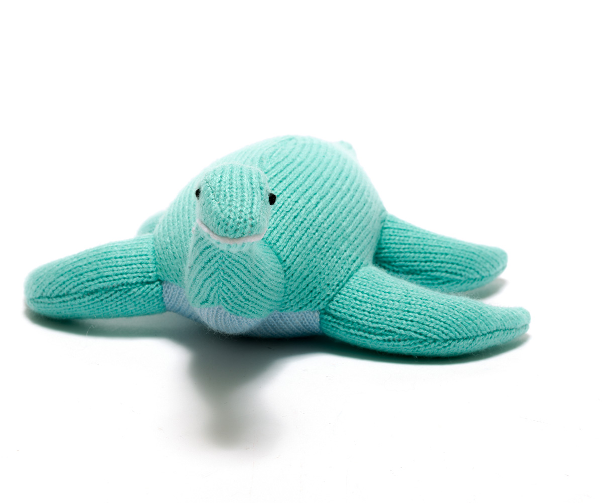 Meet our new Dinosaur Toy – the Water Dwelling Plesiosaur