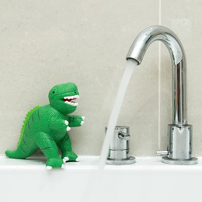 Dinosaur bath toys