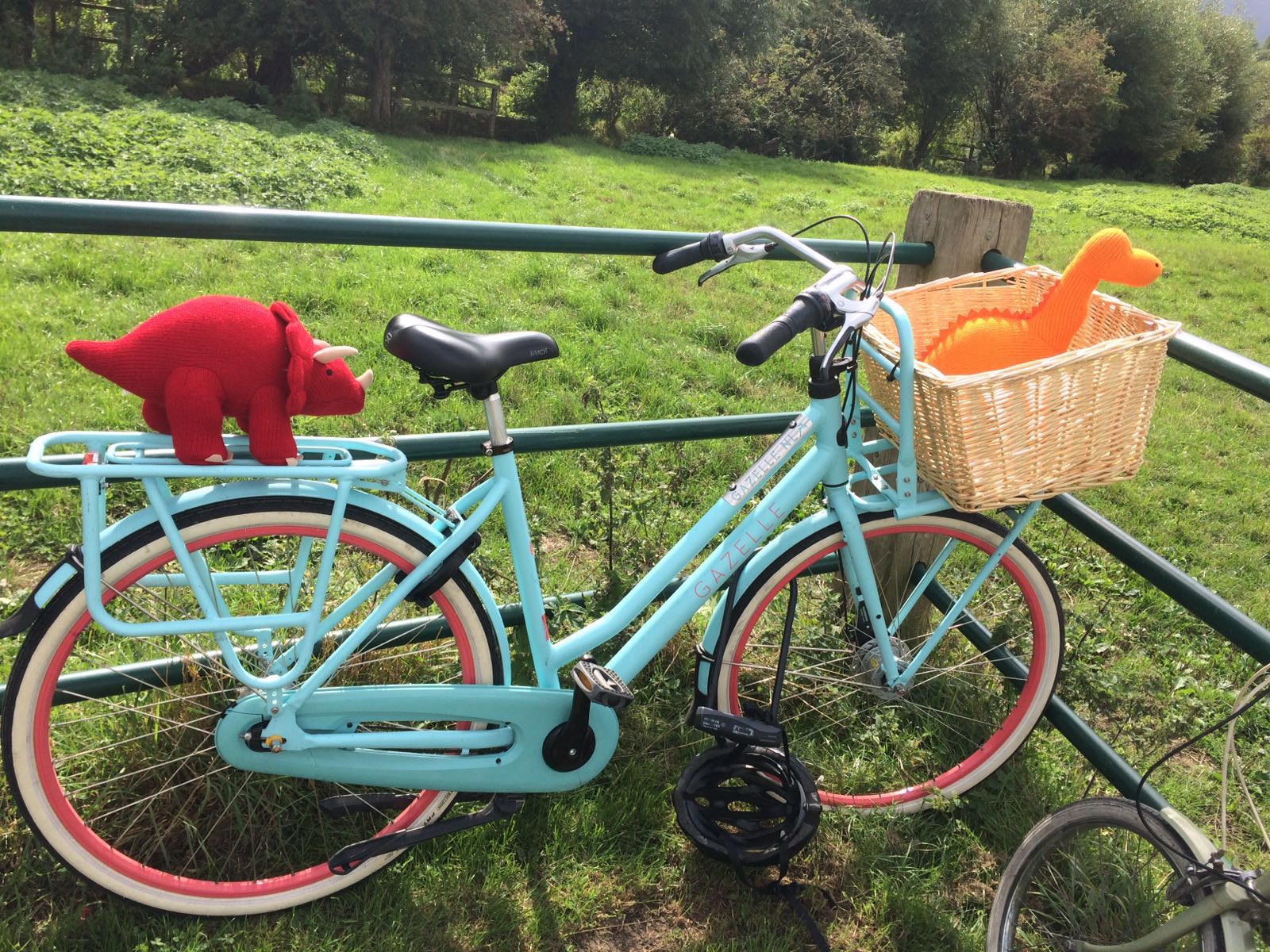 dinosaur bike ride