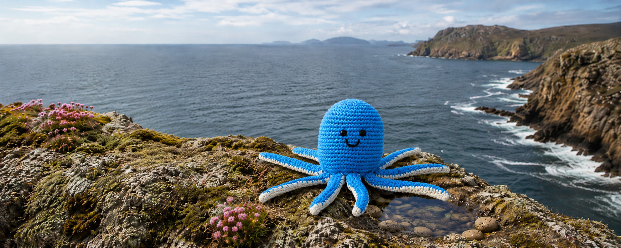 Octopus